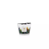 Candela BAOBAB Rainforest Amazonia Blu, Gialla, Marrone e Turchese Agrumata con note di Bergamotto - Cardamomo - Muschio 10cm