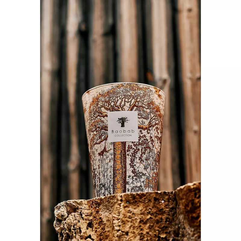 Candela Baobab Sacred Trees Dualla Profumazione con note di Basilico - Gelsomino - Patchouli Ambientato2