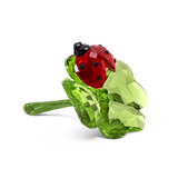 Statuetta in cristallo SWAROVSKI con coccinella rossa posata su quadrifoglio verde 5666852