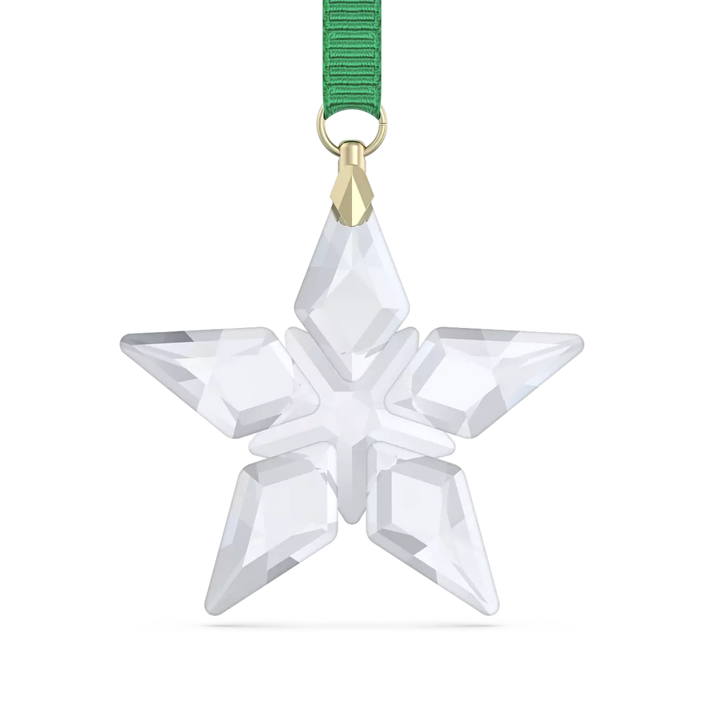 Swarovski Decorazione Stella 2023 5653577 Swarovski Decorazione Stella 2023 5653577