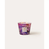 Baobab Collection candela profumata Arty Flowers Ninfea viola e fucsia con motivo floreale su vetro, 3 stoppini accesi MAX10AFLI