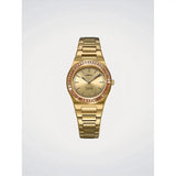 D1 Milano Ultra Thin Clear Fusion orologio donna cassa oro PVD con lunetta pietre ambrate quadrante dorato sunray UCBL01