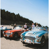 Frederique Constant Classics Vintage Rally Healey Automatic raduno Austin-Healey d'epoca ispirazione collezione FC-303HLBN3B6