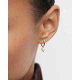 Pd Paola Orecchini La Perla dettaglio indossato, design minimalista oro e perla d'acqua dolce AR01-E69-U