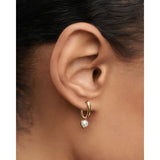 Pd Paola Orecchini La Perla close-up indossato, cerchio oro lucido con charm perla bianca AR01-E69-U