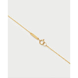 Pdpaola Collana Signature Essential Initials dettaglio chiusura catena in argento placcato oro 18kt con logo inciso CO01-B94-U