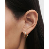 Pdpaola Orecchini Becca dettaglio ravvicinato zircone cubico su cerchio in argento placcato oro 18kt AR01-E02-U