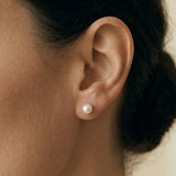 Alfyo orecchini perle a lobo indossate diametro 6 mm