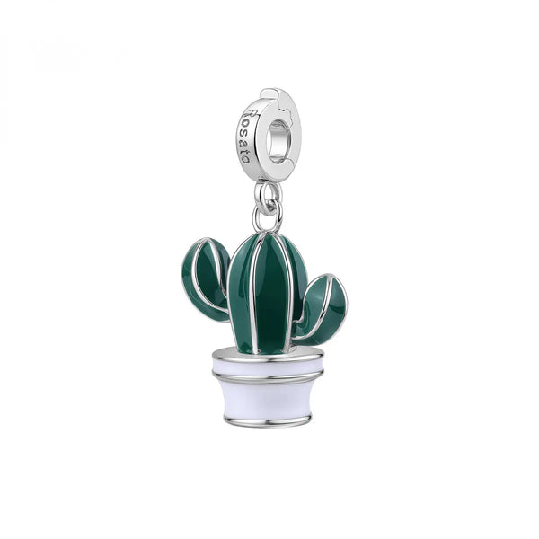 Rosato Charm Pianta Grassa