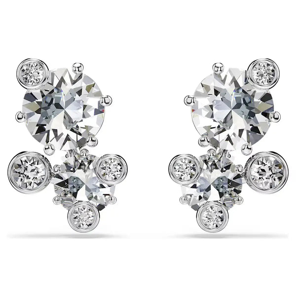 Swarovski Orecchini a Lobo Constella frontale