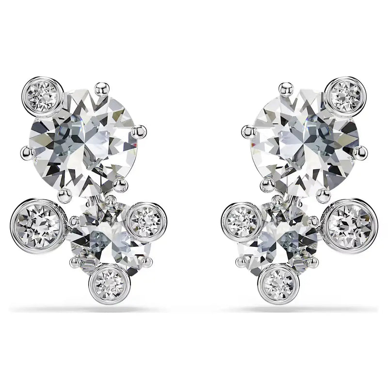 Swarovski Orecchini a Lobo Constella frontale
