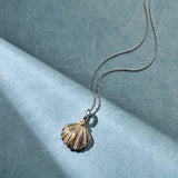 Ti Sento Collana Conchiglia vista ravvicinata pendente conchiglia dorato con pavé di zirconi e catena argento 6863ZY