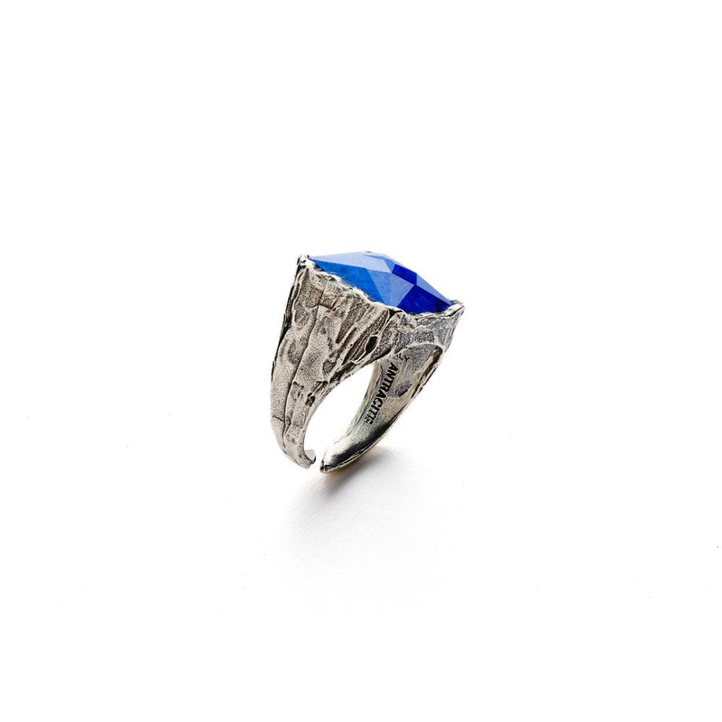 Anello da uomo in argento con lapislazzuli. Euro 49.00 Anello da uomo in argento con lapislazzuli. Euro 49.00
