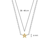 Collana Ti Sento in argento bicolore con pendente a forma di stella con zircone 3976ZY Dimensioni